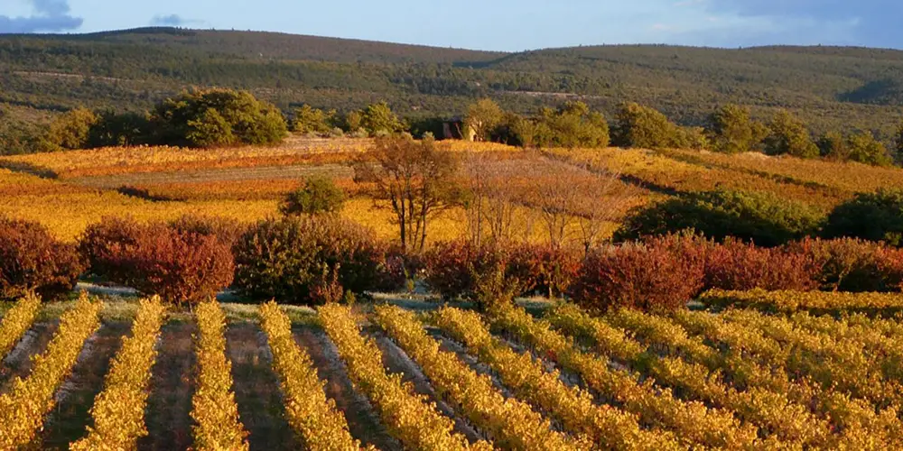 La Provence en automne