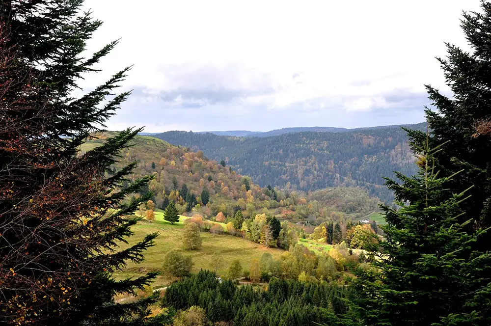 Vosges en automne