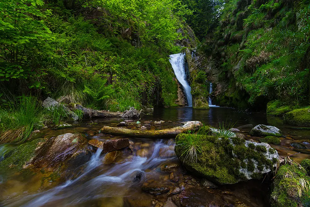 Forêt Noire, escapade nature en Allemagne