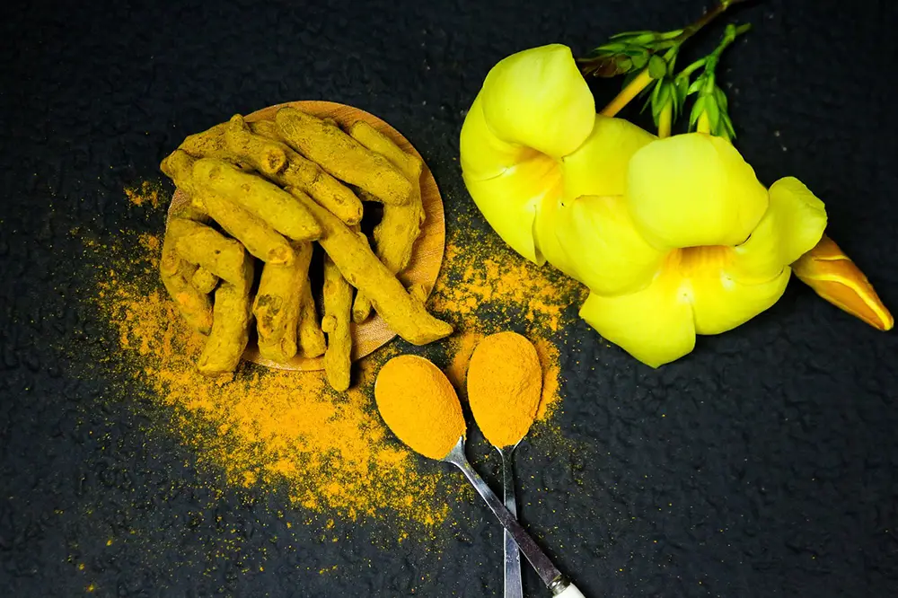 Le Curcuma frais et en poudre, l'épice jaune